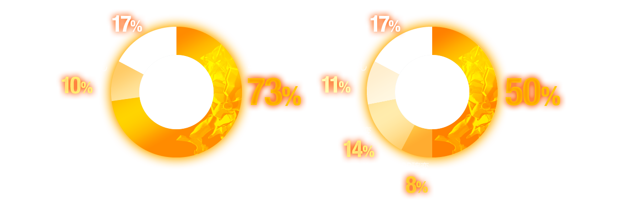 特図1:4R確変 73%,2R確変出玉なし 10%, 4R通常 17%, 特図2:16R確変 50%, 8R確変 8%, 4R確変 14%, 2R確変出玉なし 11%, 2R出玉なし 17%