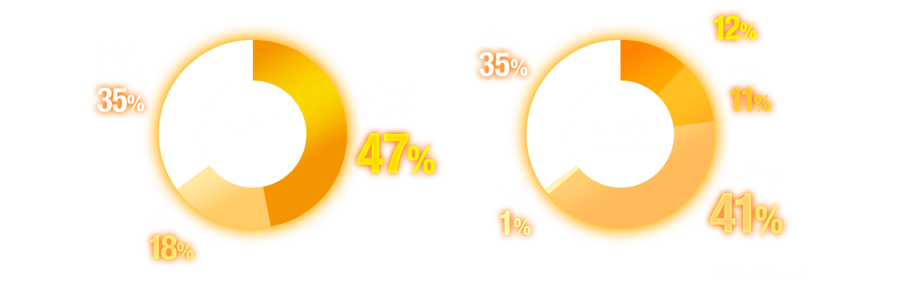 5R確変（実質3R）47%,3R確変 18%,5R通常（実質3R）35%,16R確変 12%,7R確変 11%,3R確変 41%,2R突確 1%,2R突時 35%