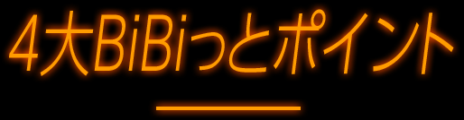 4大BiBiっとポイント