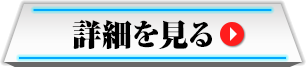 詳細を見る