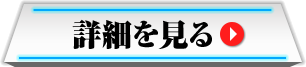 詳細を見る