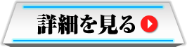 詳細を見る