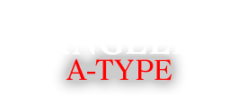 PACHI SLOT EVANGELION A-TYPE